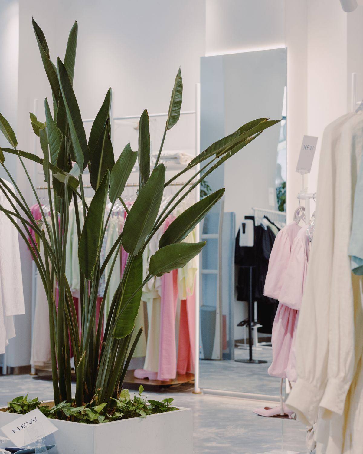 Interior luminoso de una boutique de ropa con percheros y una planta grande