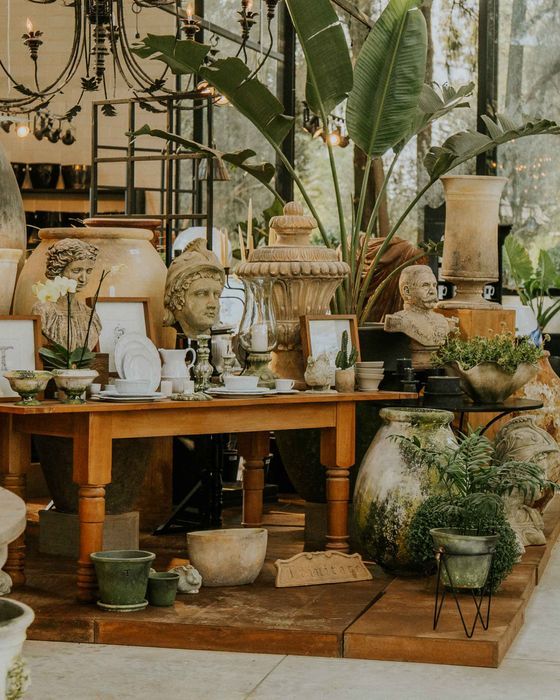 Jarrones y piezas decorativas con plantas en una tienda de hogar
