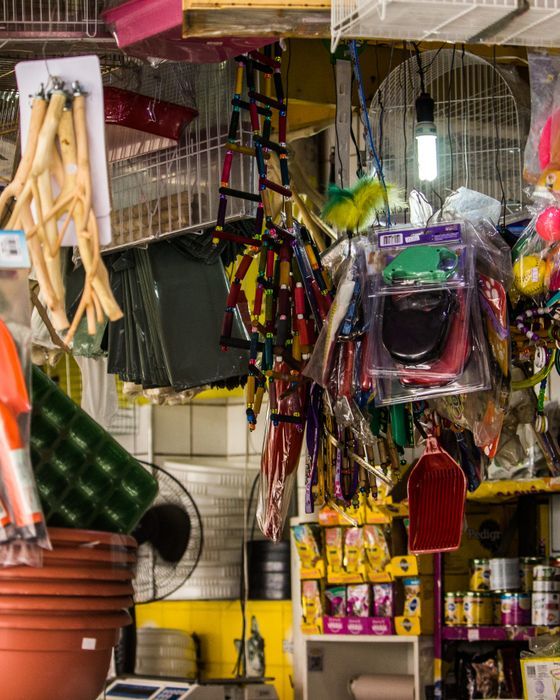 Artículos para mascotas en exhibición en una tienda de mascotas